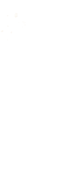 大吉寿司ではより気軽に